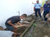 Tingkatkan Sanitasi Lingkungan, Lapas Piru Benahi Saluran Pipa Pembuangan 