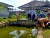 Sukses Panen, Lapas Tanjungpandan Kembali Tebar 1.500 Benih Lele