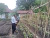 Ajak WBP Berkebun, Salah Satu Cara Lapas Bandanaira Memanusiakan Manusia