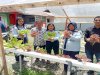 Wujud Nyata Bimbingan, Klien Bapas Ambon Panen Sayuran Hidroponik