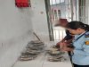 WBP Lapas Bandanaira Pelajari Pengolahan Ikan Asin