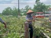 Panen Perdana Timun dan Tomat di Kantor Baru Lapas Palangka Raya