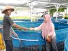 Lapas Namlea Kembali Pasarkan Hasil Budidaya Ikan Nila Sistem Bioflok