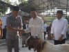 Iduladha 1445 H, Sesditjenpas Serahkan Bantuan Hewan Kurban ke UPT Pemasyarakatan Wilayah DIY