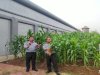  Urban Farming di Lapas Cipinang, Kontribusi Nyata untuk Go Green dan Kelestarian Lingkungan