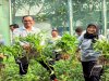 Lapas Cipinang Dukung Ketahanan Pangan Melalui Urban Farming dan Bakti Sosial