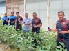 Laksanakan Program Ketahanan Pangan, Rutan Sinjai Fokus pada Budidaya Pertanian dan Peternakan