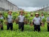 Lapas Banjarbaru Panen 150 Kg Kangkung Jumbo