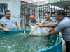 Tabur Benih Ikan Nila, Upaya LPKA Batam Dukung Program Ketahanan Pangan