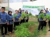 Sulap Branggang Jadi Lahan Produktif, Lapas Perempuan Palu Panen 20 Kg Kangkung