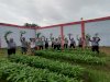 Anak Binaan LPKA Medan Sukses Budidayakan Kangkung Darat dengan Eco-School
