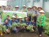 Lapas Cipinang Panen Kangkung Lewat Program Urban Farming