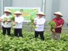  Urban Farming di Lapas Cipinang Tuai Apresiasi Tenaga Ahli Menteri Imipas
