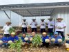 Lapas Banjarbaru Panen 100 Kg Melon dan Kangkung