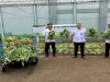 Lapas Cipinang Kembali Panen, Program 'Napi Berkebun' Cetak Warga Binaan Mandiri