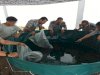 LPKA Medan Kembangkan Budidaya Ikan Lele dengan Sistem Bioflok