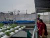Lapas Pemuda Madiun Terus Pantau Budidaya Ikan dan Peternakan di SAE