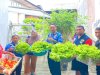 Lapas Wahai Panen Sayur Selada, Sita Perhatian Masyarakat Sekitar