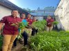 Rutan Klungkung Panen 17 Kg Kangkung di Kebun Rutan