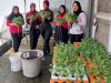 Kalapas Perempuan Pangkalpinang Pimpin Panen Sawi di Area Kebun Hidroponik