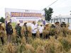 Lapas Cirebon Panen Perdana Padi dan Ikan Nila di Lahan SAE