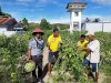 Kembali Panen, Lapas Namlea Hasilkan 22 Kg Buncis