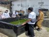 Bersama Dinas Perikanan dan Kelautan Kab. Sampang, Rutan Sampang Maksimalkan Budidaya Lele
