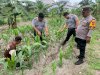 Kolaborasi Lapas Narkotika Muara Sabak dan Polsek Geragai Dukung Program Ketahanan Pangan