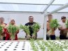 Sukses Panen Kangkung Hidroponik, Kepala LPKA Ambon Puji Anak Binaan 