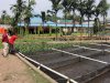 Lapas Jambi Kembangkan Pembibitan Ikan Lele, Dorong Kemandirian Warga Binaan