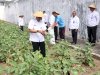 Lapas Wonogiri Panen Terong, Wujud Warga Binaan Produktif dan Mandiri