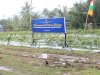 Serentak, Pemasyarakatan Seluruh Indonesia Tanam 360 Ribu Bibit Pohon Kelapa