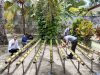 Dukung Ketahanan Pangan, Lapas Geser Kembangkan Sayuran Hidroponik Bambu 