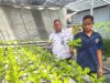 840 Lubang Hidroponik, Langkah Nyata Lapas Banjarmasin Wujudkan Lapas Produktif