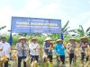 Lapas Narkotika Muara Sabak Panen Raya Jagung Hibrida, Hasilkan Panen Melimpah