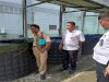Dari Kolam Menuju Harapan, Warga Binaan Lapas Cipinang Buktikan Diri lewat Program Ketahanan Pangan