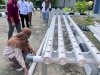 Bimbingan Kemandirian Bapas Tanjungpandan, Semangat Klien Perempuan Tak Kalah Saing di Pelatihan Hidroponik