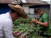 Sulap Lahan Terbatas Jadi Produktif, Warga Binaan Rutan Rantau Panen 16 Kg Terong 