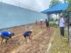 Dukung Ketahanan Pangan, Warga Binaan Lapas Narkotika Karang Intan Tebar 4 Kg Bibit Kangkung di SAE 1