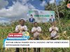 Sinjai Detention Center Holds a Large Corn Harvest to Support Food Security