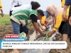 Residents Plant Watermelons for Food Security