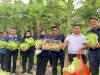 Dukung Kemandirian Warga Binaan, Lapas Wahai Panen Sayur bersama Kanwil Ditjenpas Maluku