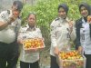 Panen Kangkung dan Tomat, Lapas Wahai Buktikan Kemandirian Pangan di Lahan Terbatas