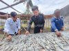 Manfaatkan Potensi Lokal, Warga Binaan Lapas Geser Produksi Ikan Asin Balobo