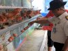 Dukung Kemandirian Pangan, Lapas Pemuda Madiun Panen Bayam, Selada, dan Telur Ayam