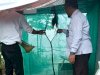 Lapas Metro Kembangkan Budidaya Maggot untuk Pakan Lele