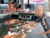 Bekal Produktif untuk Masa Depan, Warga Binaan Lapas Narkotika Karang Intan Tekuni Budidaya Ikan Koi