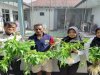 Ramadan Berkah, Lapas Wahai Optimalkan Hidroponik Demi Ketahanan Pangan dan Kebutuhan Dapur