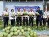 Panen Raya 746 Kg Semangka Warnai Ramadan di Lapas Pangkalpinang