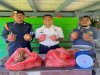 Produktif dan Berkelanjutan, Lapas Piru Panen Buah Naga dari Kebun Warga Binaan